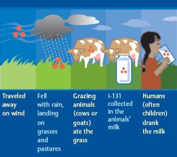 پرتوگیری طبیعی ید 131